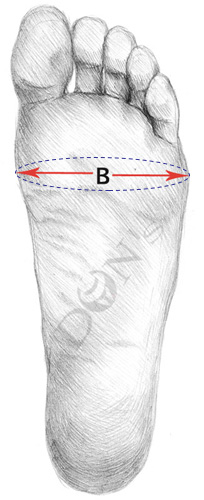 Foot Ball Joint to Widest Part